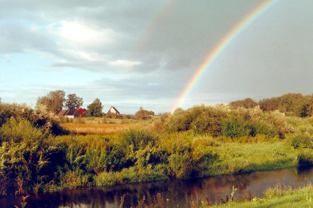 Kalda Talu Tõlliste Exterior foto